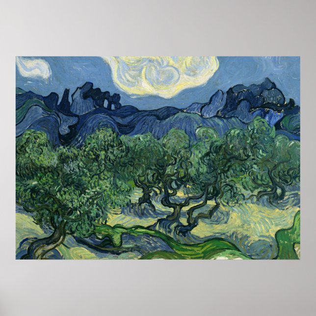 Olive Trees by Van Gogh Poster (Front)