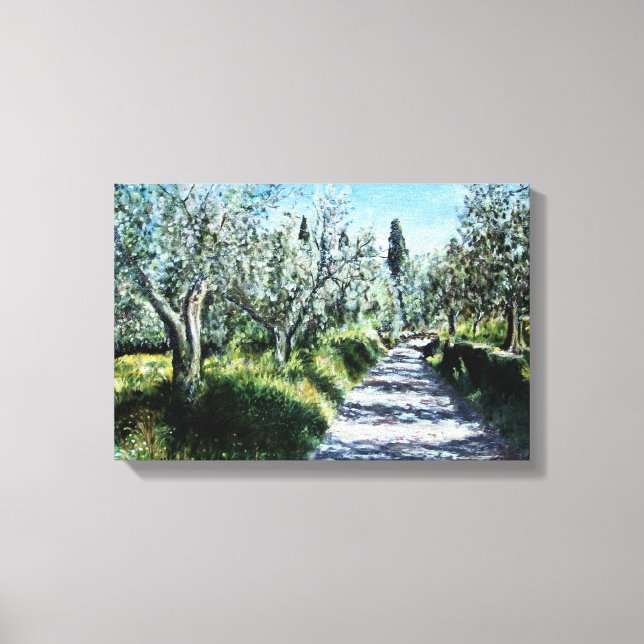OLIVE TREES IN RIMAGGIO TUSCANY CANVAS PRINT (Front)