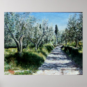 OLIVE TREES IN RIMAGGIO Tuscany landscape Poster