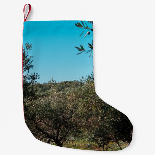 Olive trees in the Apulian landscape in autumn. ag Small Christmas Stocking (Front)