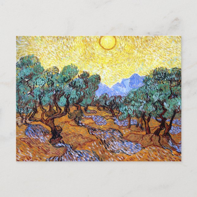 Olive Trees in the Sun Van Gogh Postcard (Front)