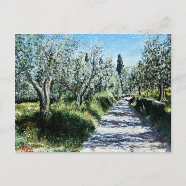 OLIVE TREES IN TUSCANY POSTCARD (Front)