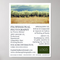 Olive Trees, Photography, Photographer Hire