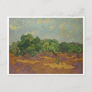Olive Trees, Van Gogh Postcard
