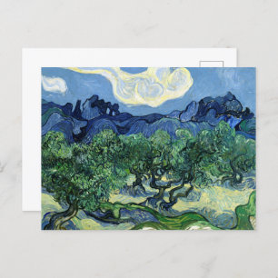Olive Trees with the Alpilles in the Background Postcard