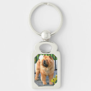 OLIVER heARTdog chow keychain