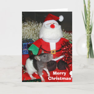 Oliver meets Santa Holiday Card
