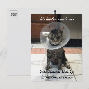 Oliver The Cats Cone of Shame  Postcard