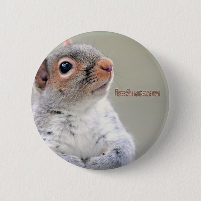 Oliver Twist Squirrel 2 Inch Round Button (Front)