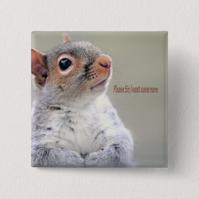 Oliver Twist Squirrel 2 Inch Square Button (Front)