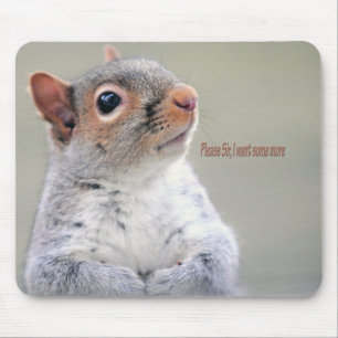 Oliver Twist Squirrel Mouse Pad