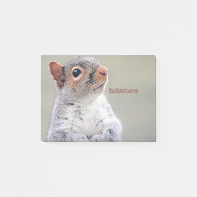 Oliver Twist Squirrel Post-it Notes (Front)