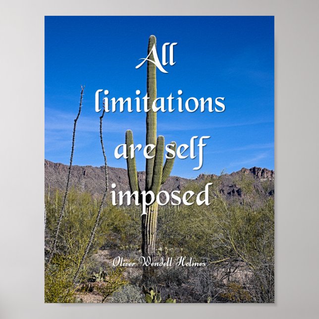 Oliver Wendell Holmes, Limitations Poster (Front)
