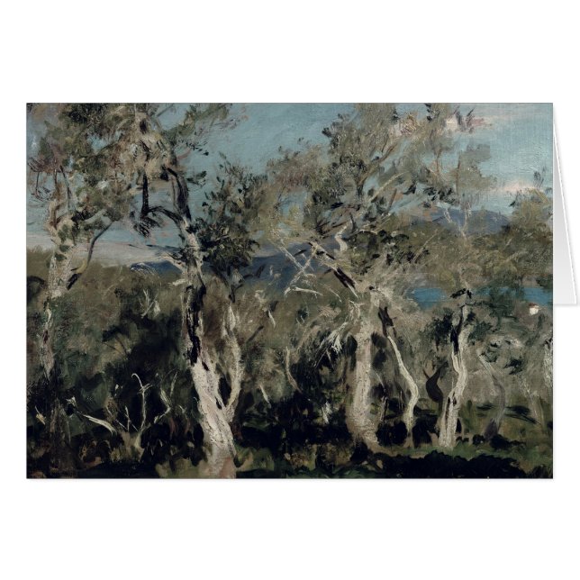 Olives, Corfou, 1912 (Devant horizontal)