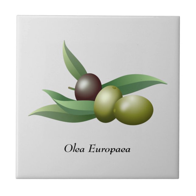 Olives Green Leaves  Tile (Front)
