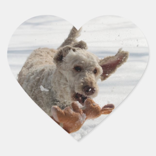 Ollie Heart Sticker (Front)