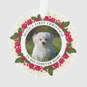 Ollie's First Forever Christmas Ornament