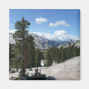 Olmsted Point III in Yosemite National Park Magnet
