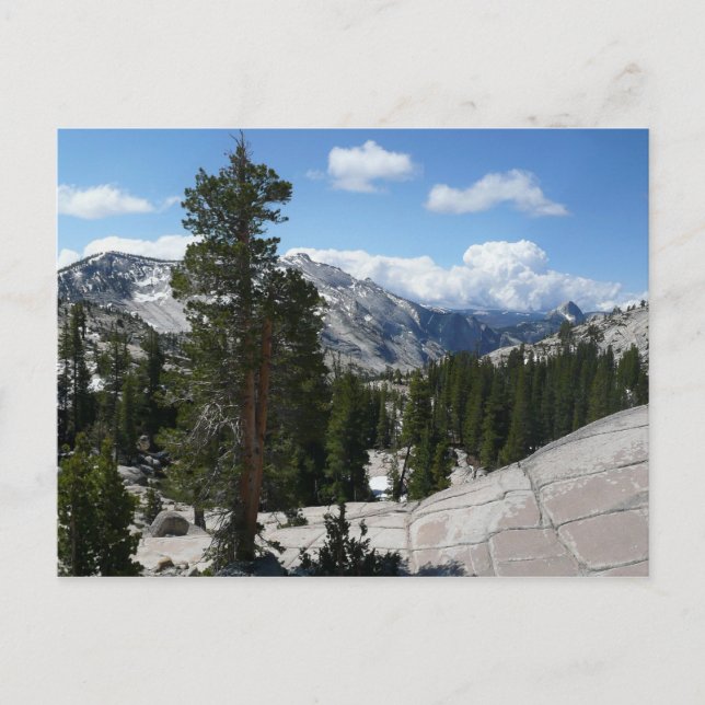 Olmsted Point III in Yosemite National Park Postcard (Front)