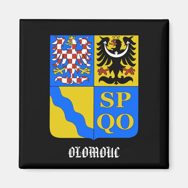 Olomouc Czech Republic Kitchen Magnet (Front)