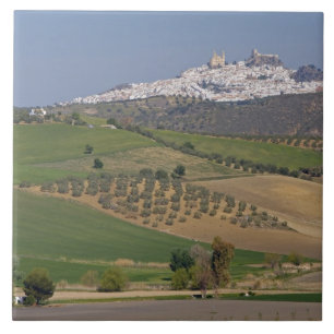 Olvera, Andalusia, Spain Tile
