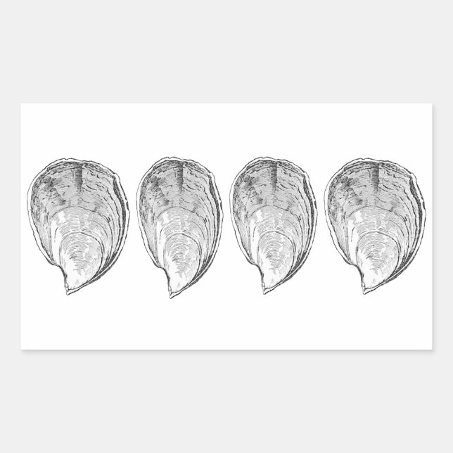 Olympia Oysters Illustration Sticker (Front)