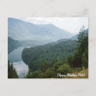 Olympic Mountains Postcard