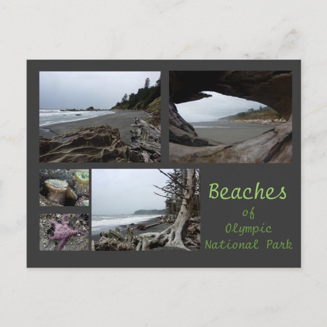 Olympic N.P. (Beaches - Kalaloch, Rialto, Beach 4) Postcard (Front)