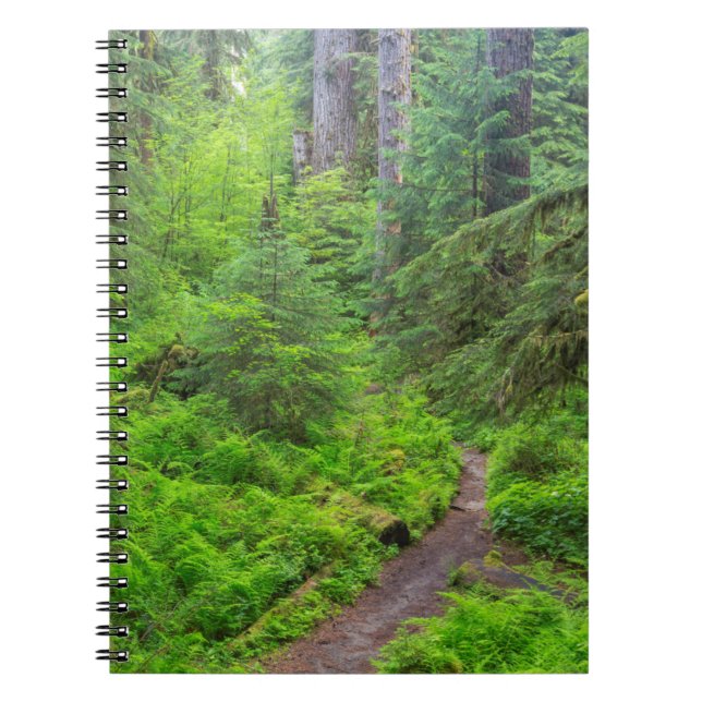 Olympic National Park, Forest trail Notebook (Front)