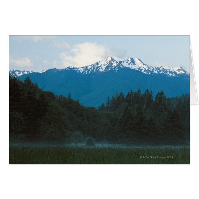 Olympic National Park , Mt. Olympus , Washington (Front Horizontal)