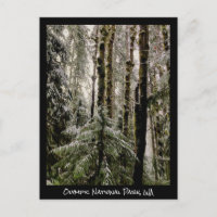 Olympic National Park Postcard