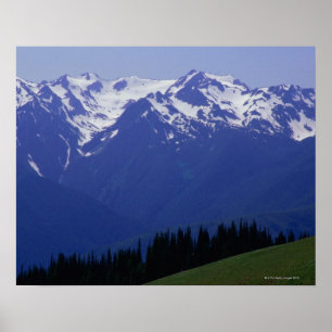Olympic National Park Poster