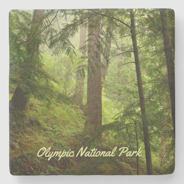 Olympic National Park Rainforest Photo Stone Coaster (Front)