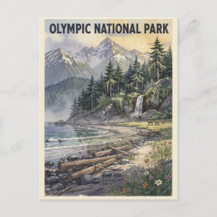Olympic National Park Vintage Travel Postcard