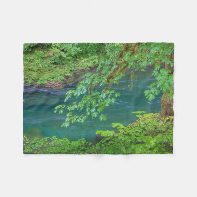 Olympic National Park Washington State Fleece Blanket (Front (Horizontal))