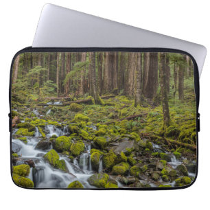 Olympic National Park, Washington State Laptop Sleeve