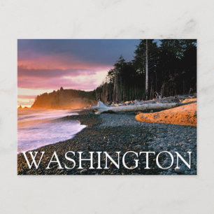 Olympic National Park   Washington State Postcard