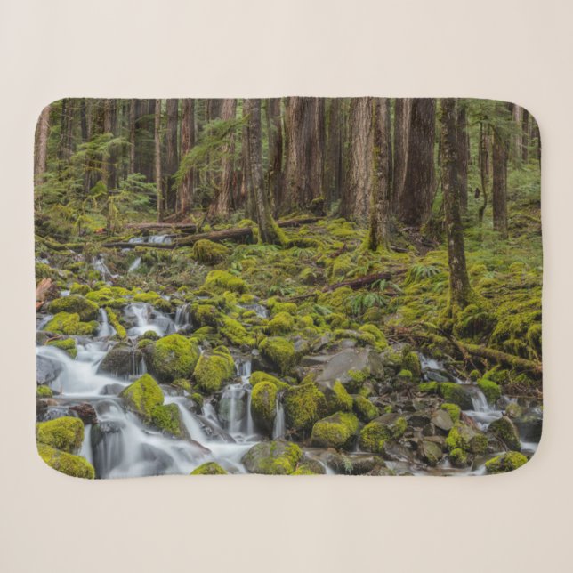 Olympic National Park, Washington State Sherpa Blanket (Front (Horizontal))
