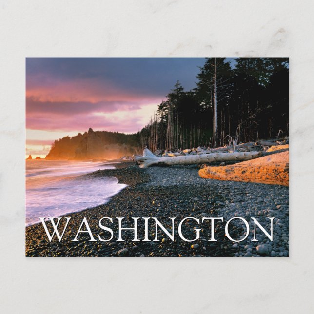 Olympic National Park | Washington State Thank You Postcard (Front)