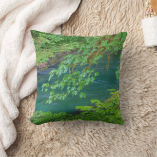 Olympic National Park Washington State Throw Pillow
