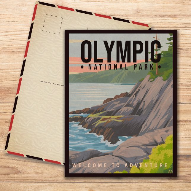Olympic National Park Washington Vintage Souvenir Postcard (Creator Uploaded)