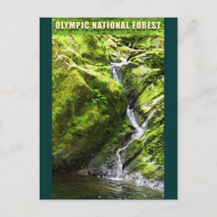 OLYMPIC NAT'L FOREST-Waterfall Postcard