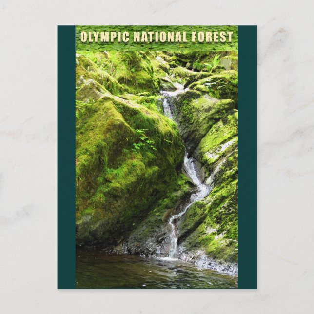 OLYMPIC NAT'L FOREST-Waterfall Postcard (Front)