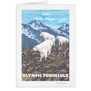 Olympic Peninsula, WashingtonMountain Goats