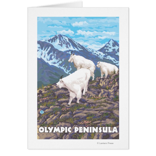 Olympic Peninsula, WashingtonMountain Goats (Front)