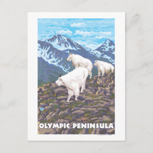 Olympic Peninsula, WashingtonMountain Goats Postcard