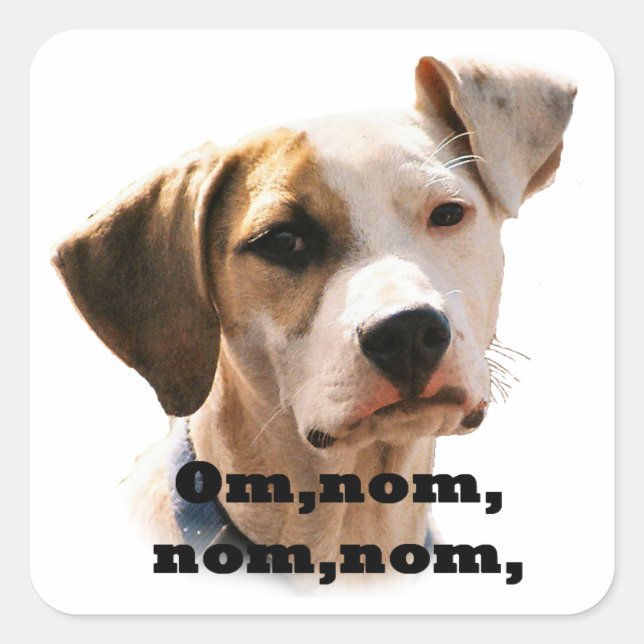 Om, nom, nom, nom, square sticker (Front)