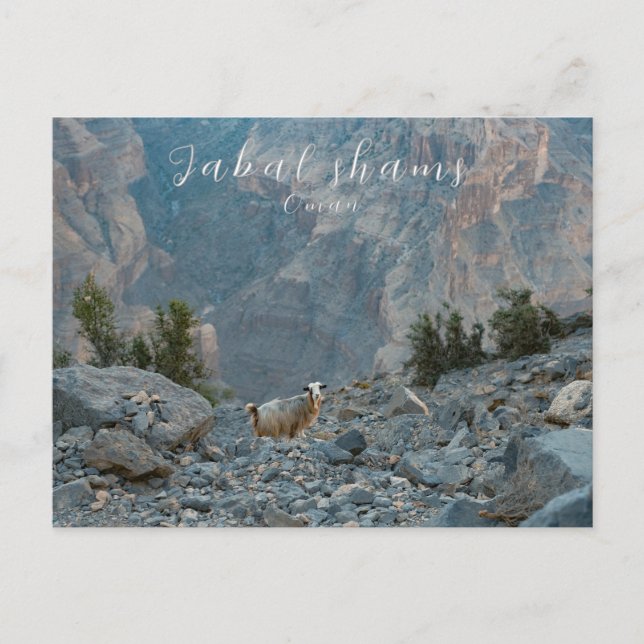 Oman Jabal Shams postcard (Front)