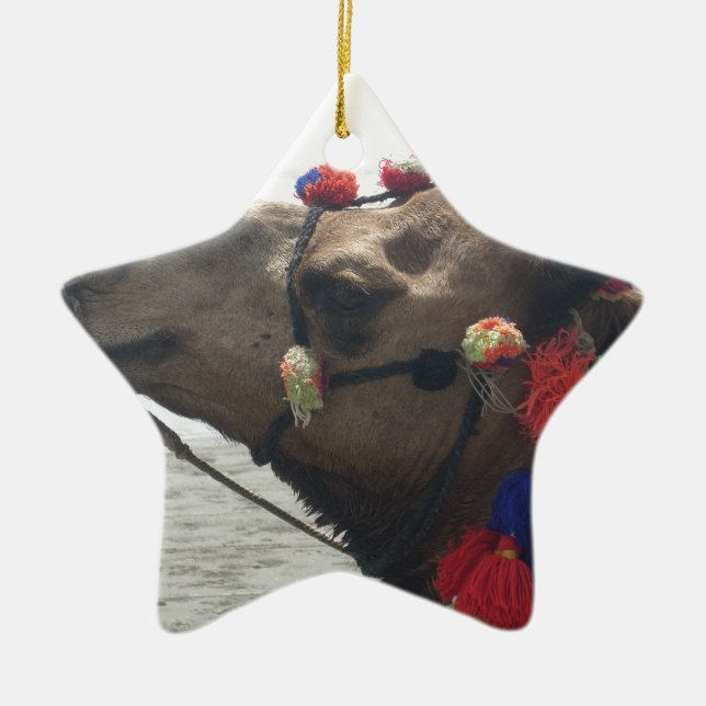 Oman Muscat Camel Photo Art Print Ceramic Ornament (Front)