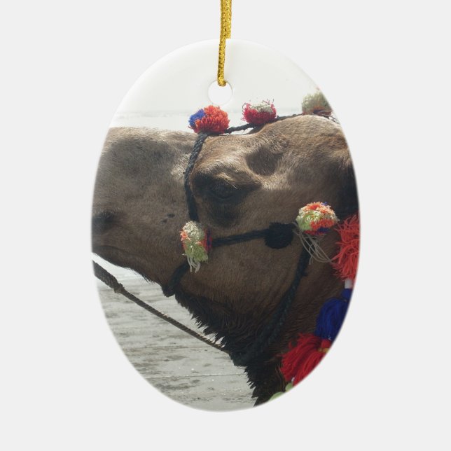 Oman Muscat Camel Photo Art Print Ceramic Ornament (Front)